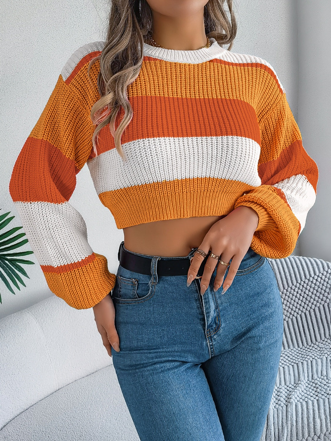 Color Block Round Neck - Cropped Sweater