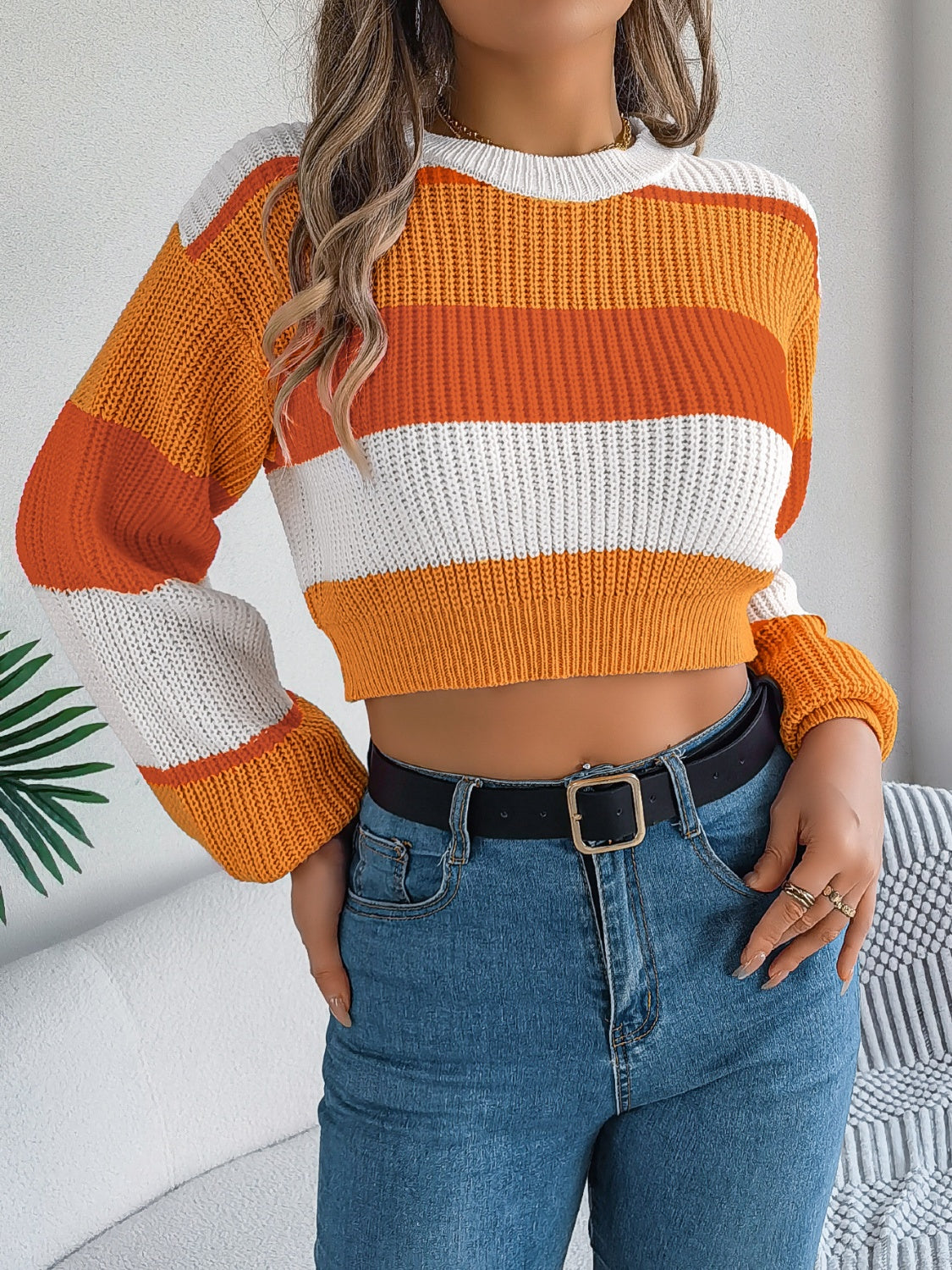 Color Block Round Neck - Cropped Sweater