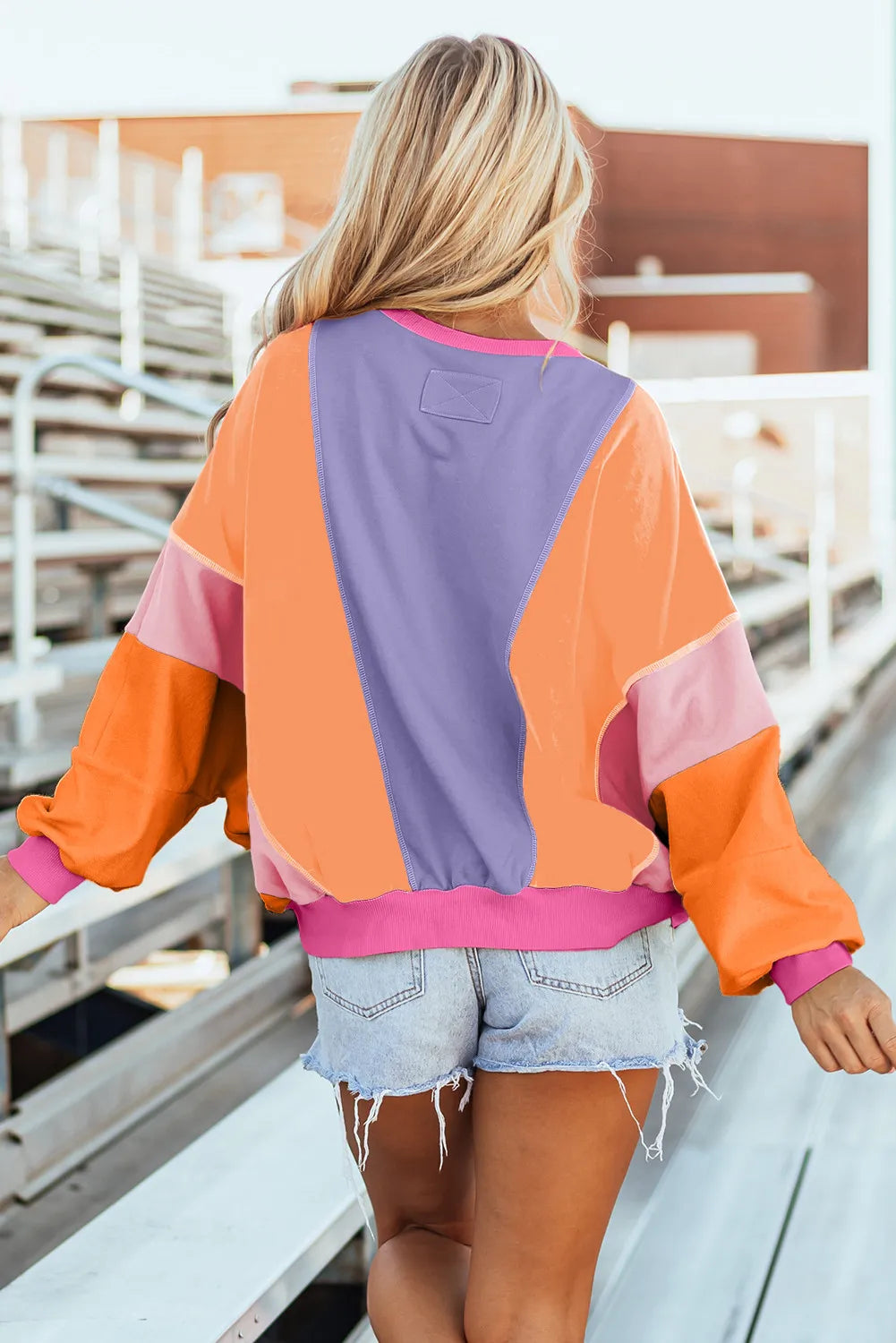 Color Block Round Neck Long Sleeve Top Trendy