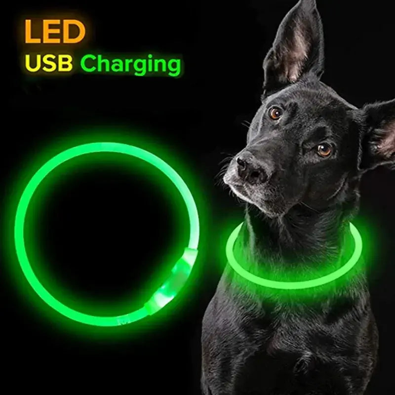 Safety Flashing Glow Dog Collar-Reflextive